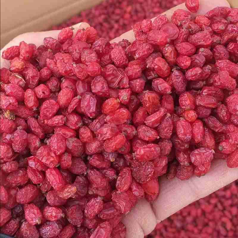 زرشک قائنات با طعم اصیل و ماندگاری بالا